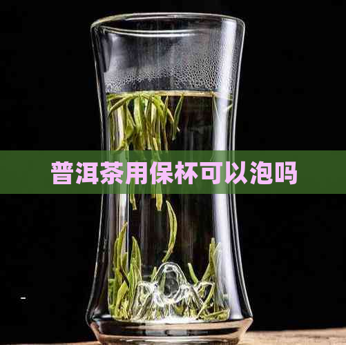 普洱茶用保杯可以泡吗