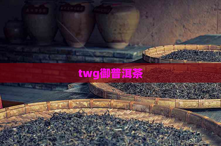 twg御普洱茶