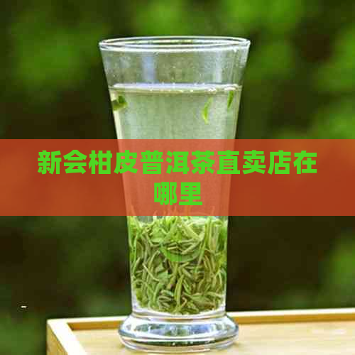 新会柑皮普洱茶直卖店在哪里