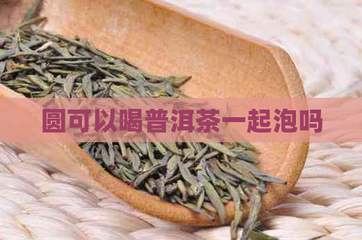 圆可以喝普洱茶一起泡吗