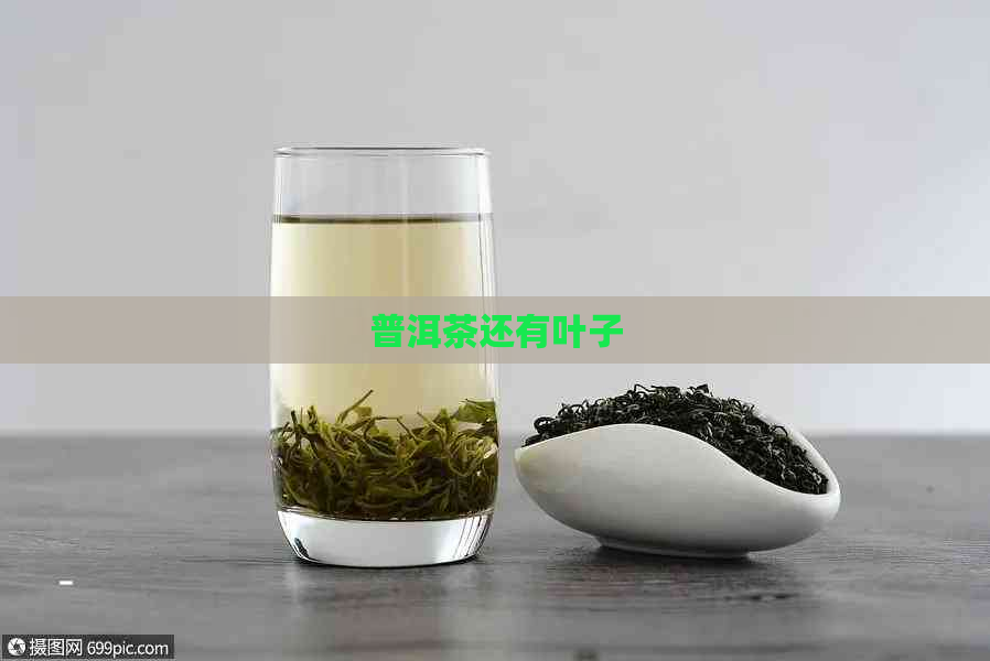 普洱茶还有叶子