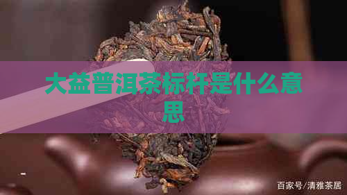 大益普洱茶标杆是什么意思