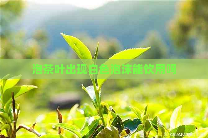 泡茶叶出现白色泡沫能饮用吗