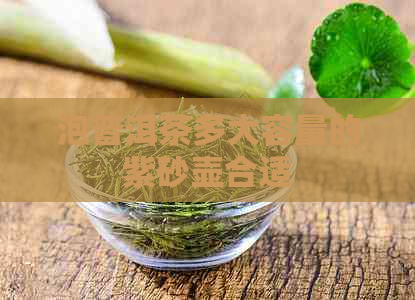 泡普洱茶多大容量的紫砂壶合适