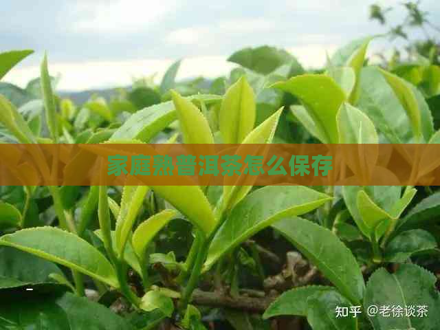 家庭熟普洱茶怎么保存