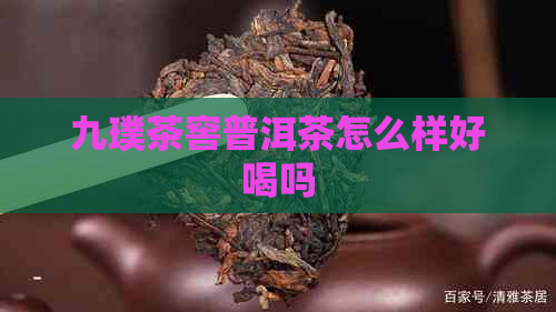 九璞茶窖普洱茶怎么样好喝吗