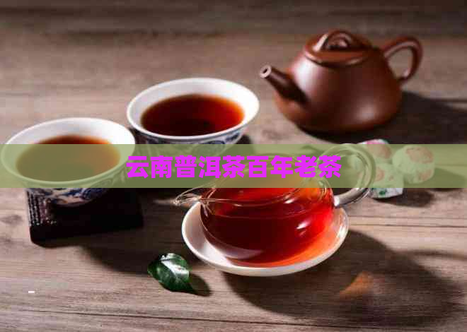 云南普洱茶百年老茶