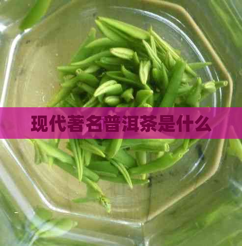 现代著名普洱茶是什么