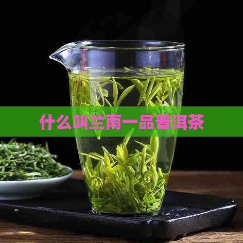 什么叫兰雨一品普洱茶