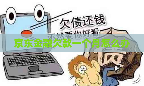 京东金融欠款一个月怎么办