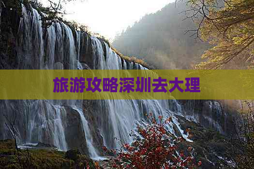 旅游攻略深圳去大理