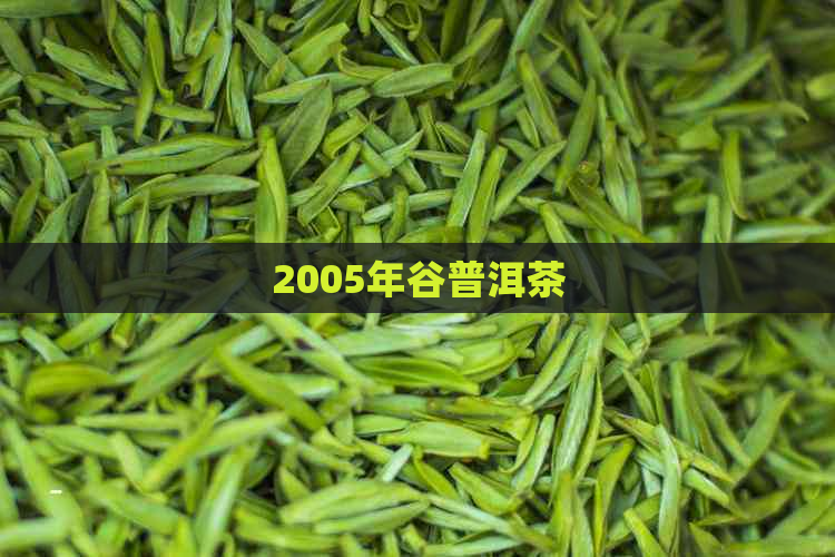 2005年谷普洱茶