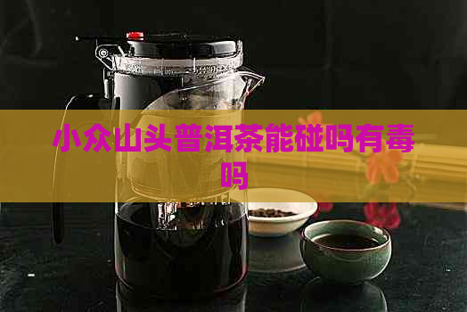 小众山头普洱茶能碰吗有吗