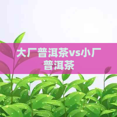 大厂普洱茶vs小厂普洱茶