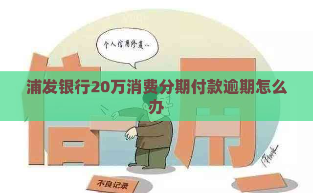 浦发银行20万消费分期付款逾期怎么办