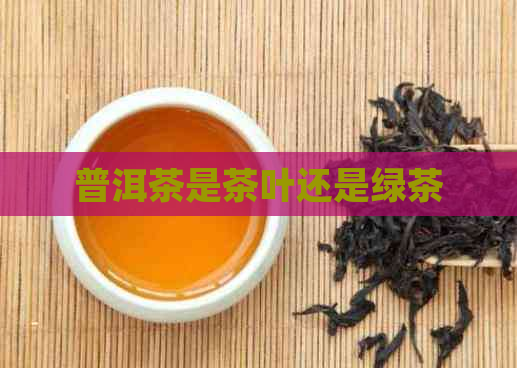 普洱茶是茶叶还是绿茶