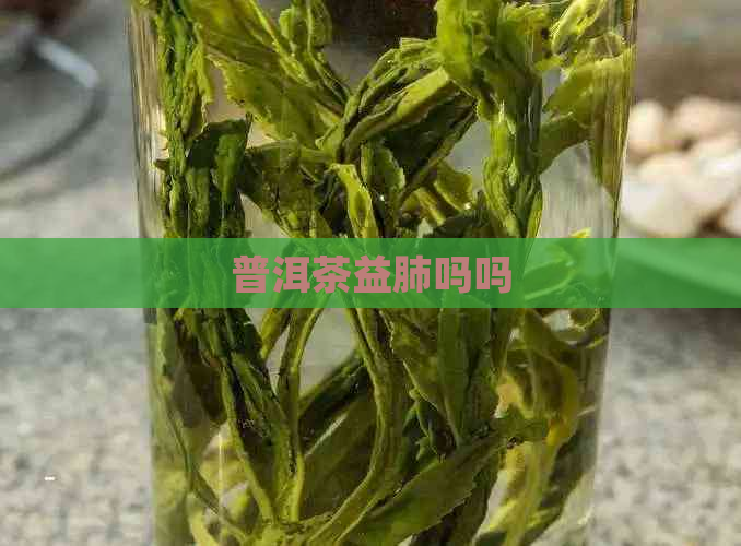 普洱茶益肺吗吗