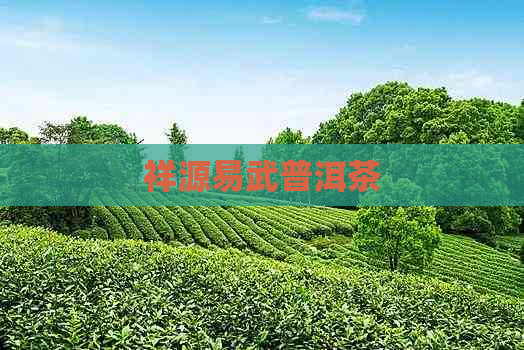 祥源易武普洱茶