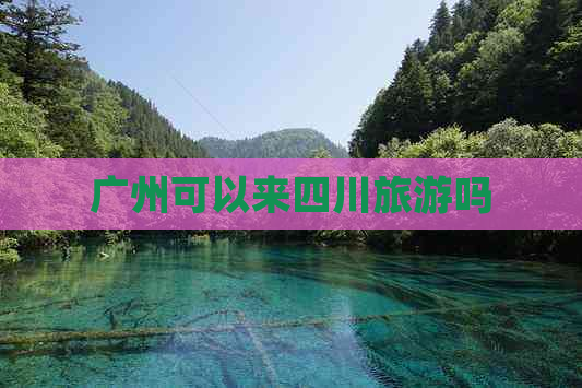 广州可以来四川旅游吗