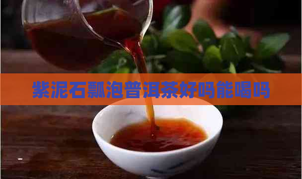 紫泥石瓢泡普洱茶好吗能喝吗