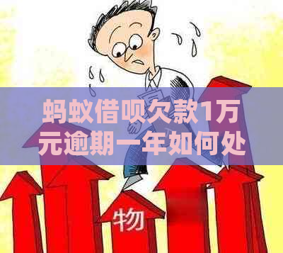 蚂蚁借呗欠款1万元逾期一年如何处理