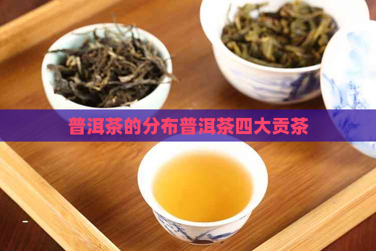 普洱茶的分布普洱茶四大贡茶