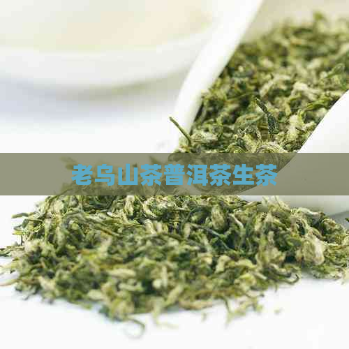 老乌山茶普洱茶生茶