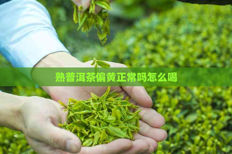 熟普洱茶偏黄正常吗怎么喝