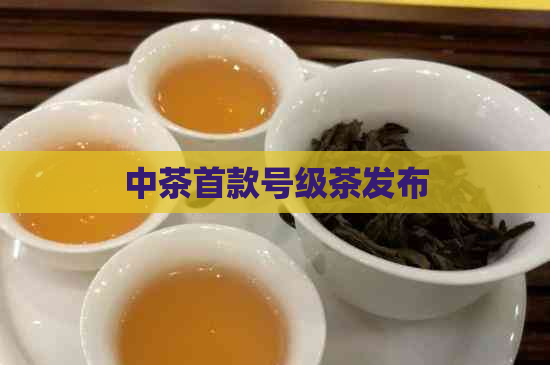 中茶首款号级茶发布