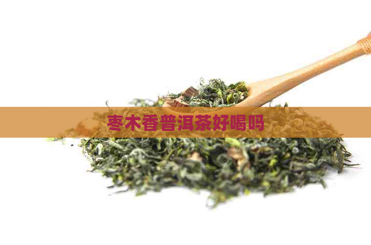 枣木香普洱茶好喝吗