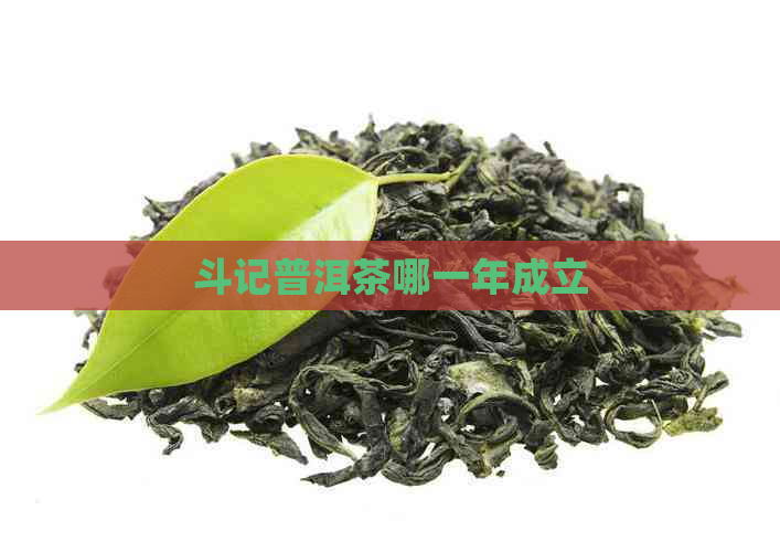 斗记普洱茶哪一年成立