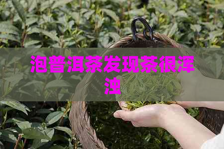 泡普洱茶发现茶很浑浊