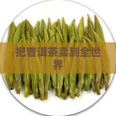 把普洱茶卖到全世界