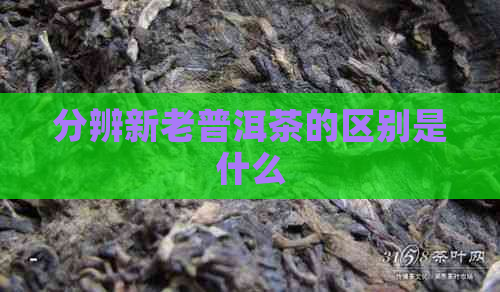 分辨新老普洱茶的区别是什么