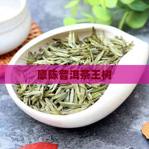 廪陈普洱茶王树