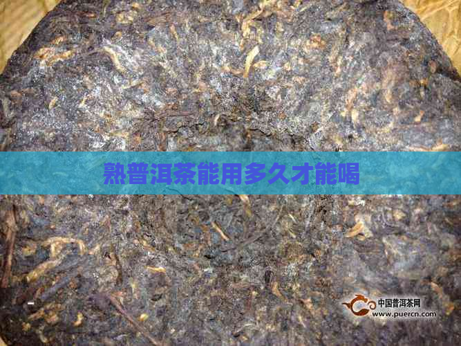 熟普洱茶能用多久才能喝