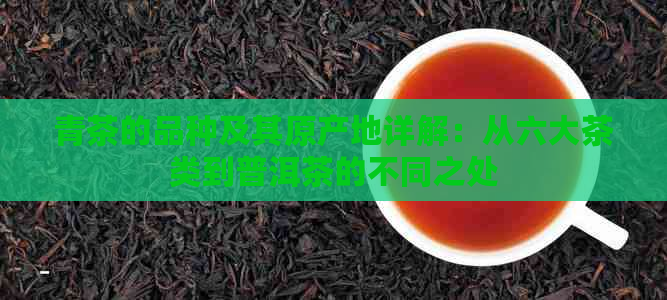 青茶的品种及其原产地详解：从六大茶类到普洱茶的不同之处