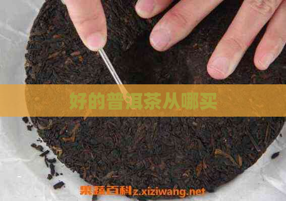 好的普洱茶从哪买