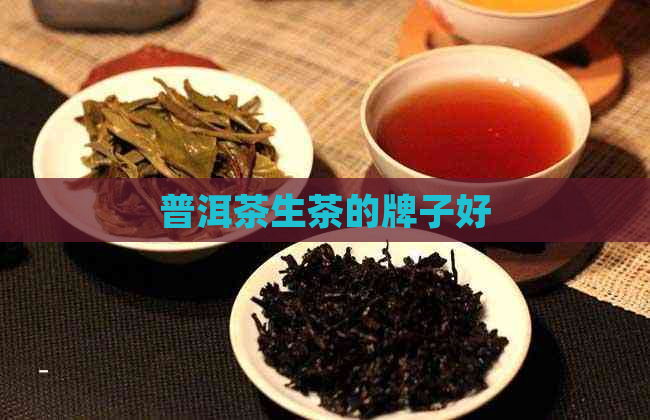 普洱茶生茶的牌子好