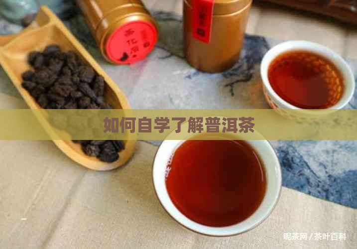 如何自学了解普洱茶