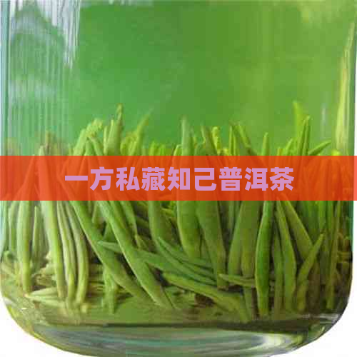 一方私藏知己普洱茶