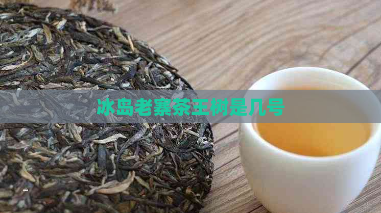 冰岛老寨茶王树是几号