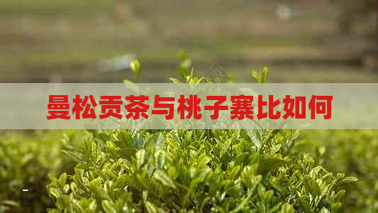 曼松贡茶与桃子寨比如何