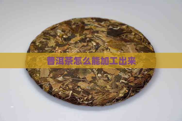 普洱茶怎么能加工出来