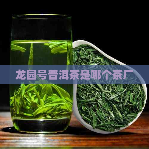 龙园号普洱茶是哪个茶厂