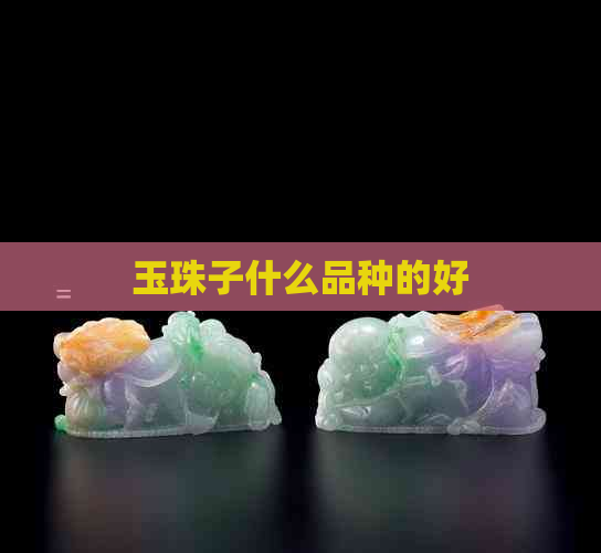 玉珠子什么品种的好