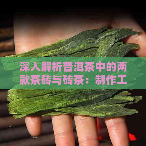 深入解析普洱茶中的两款茶砖与砖茶：制作工艺、口感差异及收藏价值