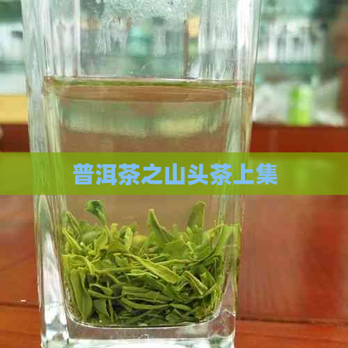 普洱茶之山头茶上集