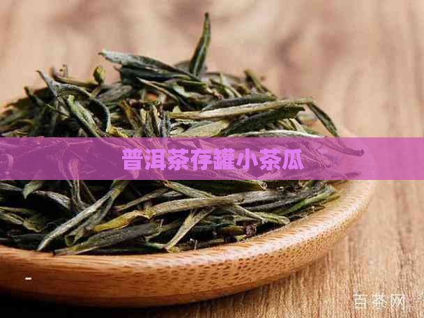 普洱茶存罐小茶瓜