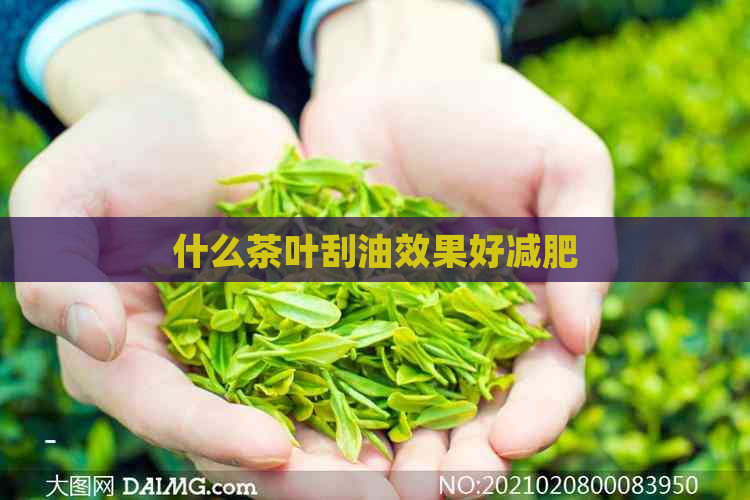 什么茶叶刮油效果好减肥